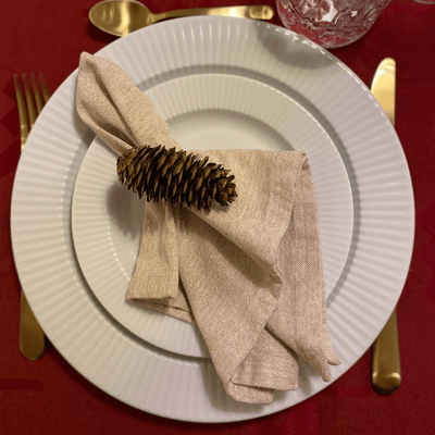 Blog -twist napkin